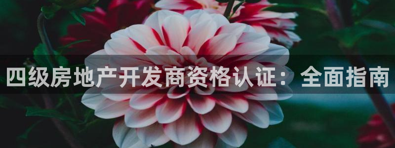 万向娱乐的联系方式是什么