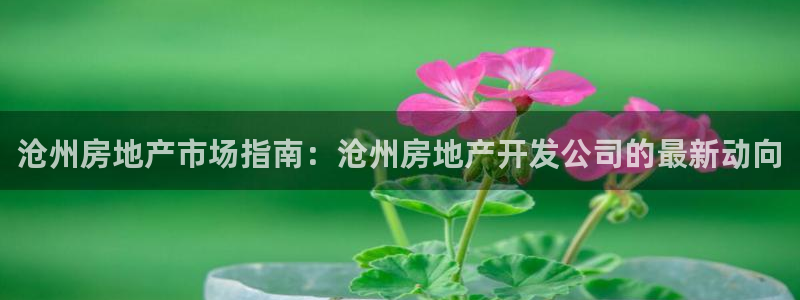 万向娱乐平台代理多少钱