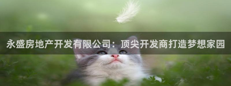万能娱乐平台直招代理