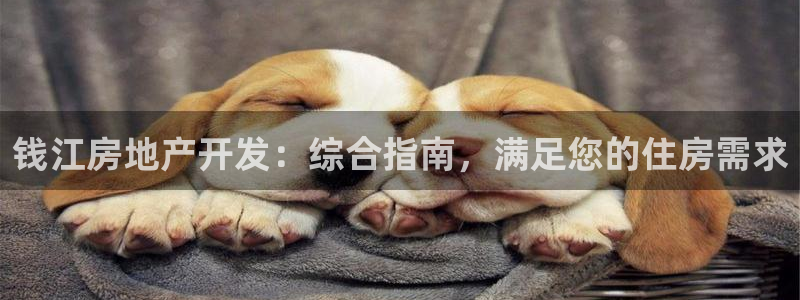 万向娱乐官网