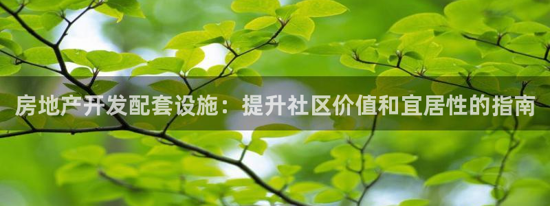 万向娱乐平台代理多少钱一个月