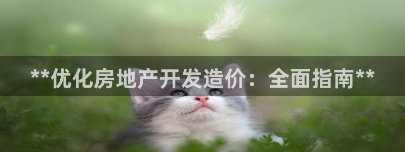 万向娱乐的494o3 主管