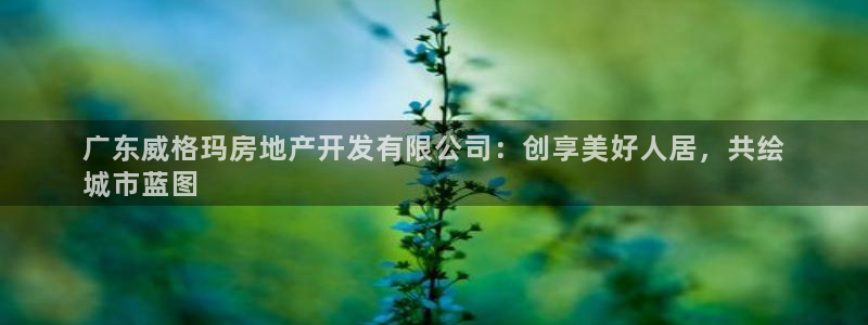 万向娱乐app下载官网