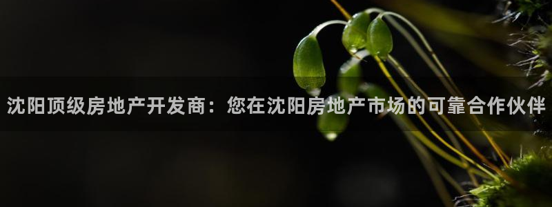万向娱乐公司 585.34I 娱乐