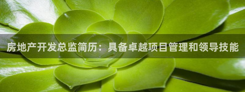 万向娱乐平台代理怎么样啊