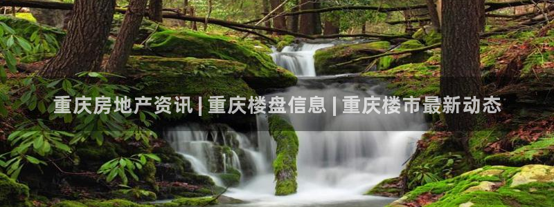 万向娱乐登陆官网下载