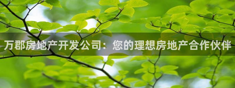 万向娱乐平台下载安装