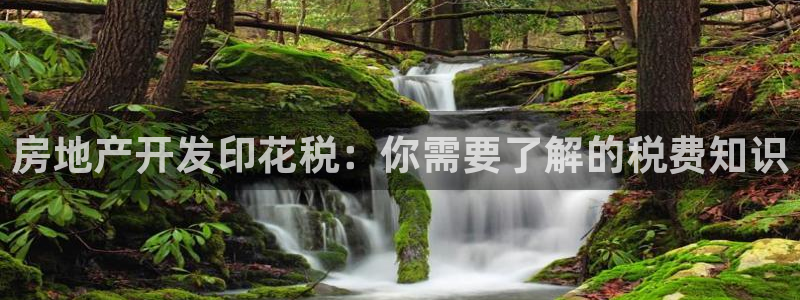万向娱乐官网网址是什么