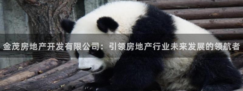 万向娱乐网址是什么