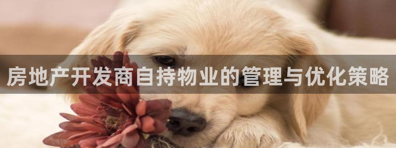万向娱乐app下载官网