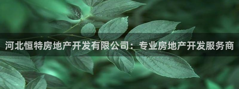 万向娱乐的494o3 主管