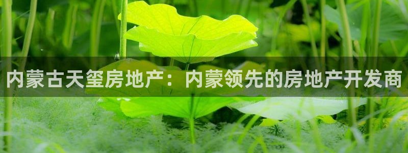 万向娱乐官网下载安装最新版