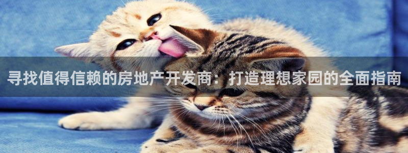 万向娱乐app