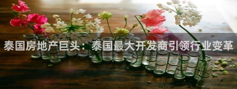 万向娱乐官网下载安卓