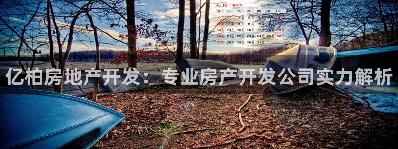 万向娱乐平台好不
