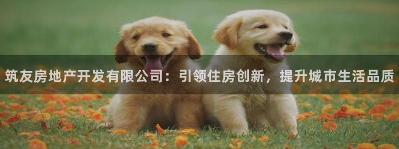 万向娱乐技术