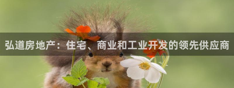 万向娱乐平台下载安装手机版