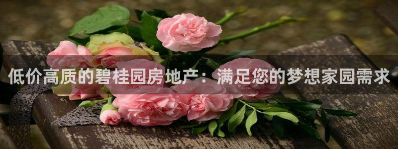 万向娱乐挂机