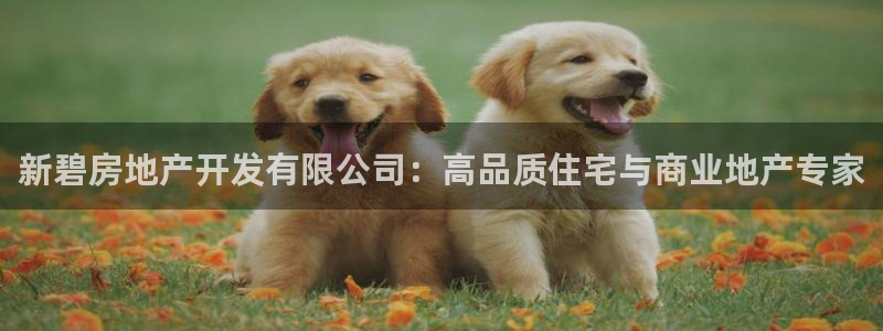 万向娱乐的联系方式有哪些