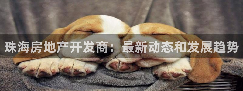万向娱乐app下载安装