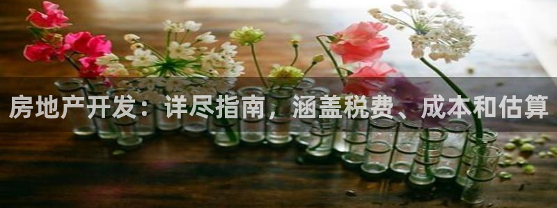 万向娱乐是哪个旗下