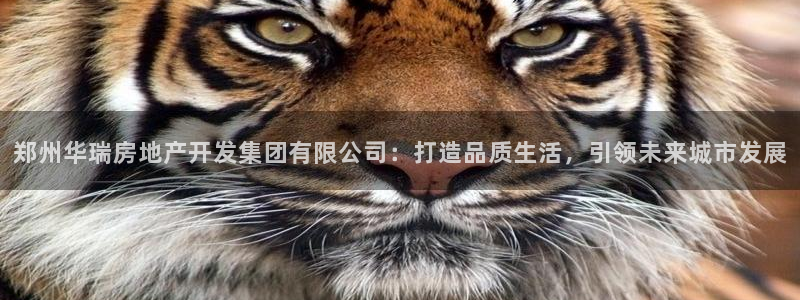 万向娱乐下载