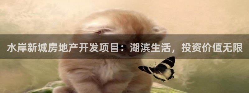 万向娱乐登陆官网入口