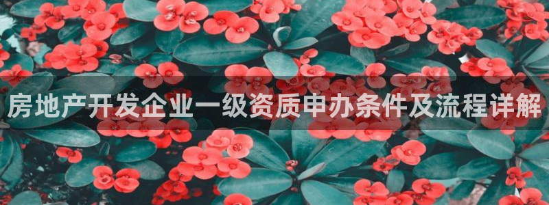 万向娱乐灯333OO