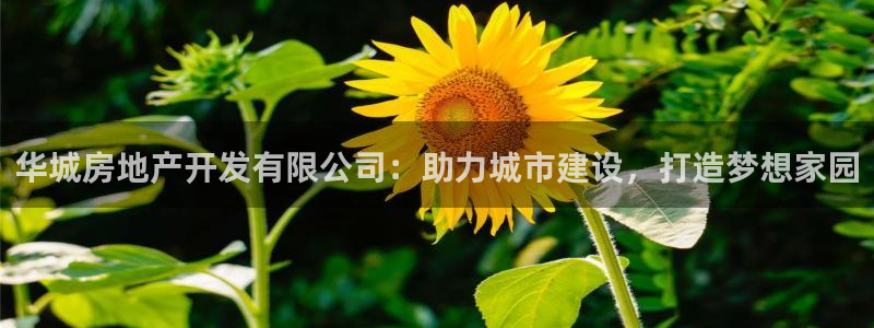 万向娱乐app下载苹果版