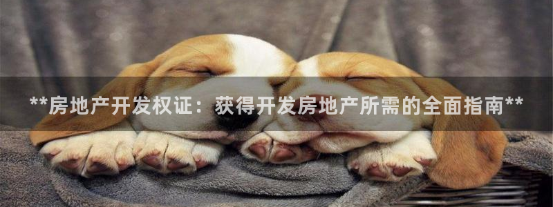 万向娱乐