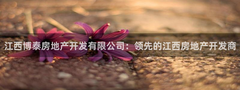 万向娱乐app下载
