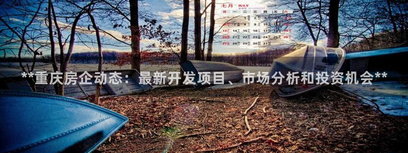 万向娱乐登陆官网入口