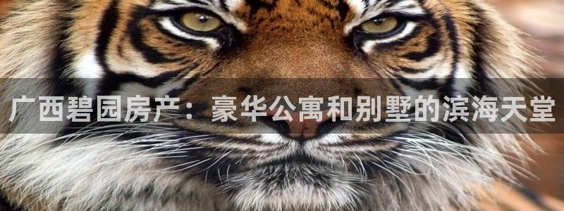 万向娱乐的联系方式有哪些